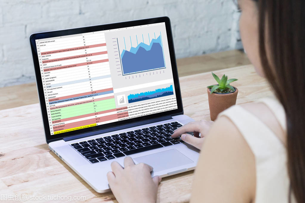 商務信息技術(shù)人士工作硬數(shù)據(jù)分析與咨詢