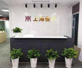 上海譽商商務咨詢 專業賦能，助力企業卓越發展